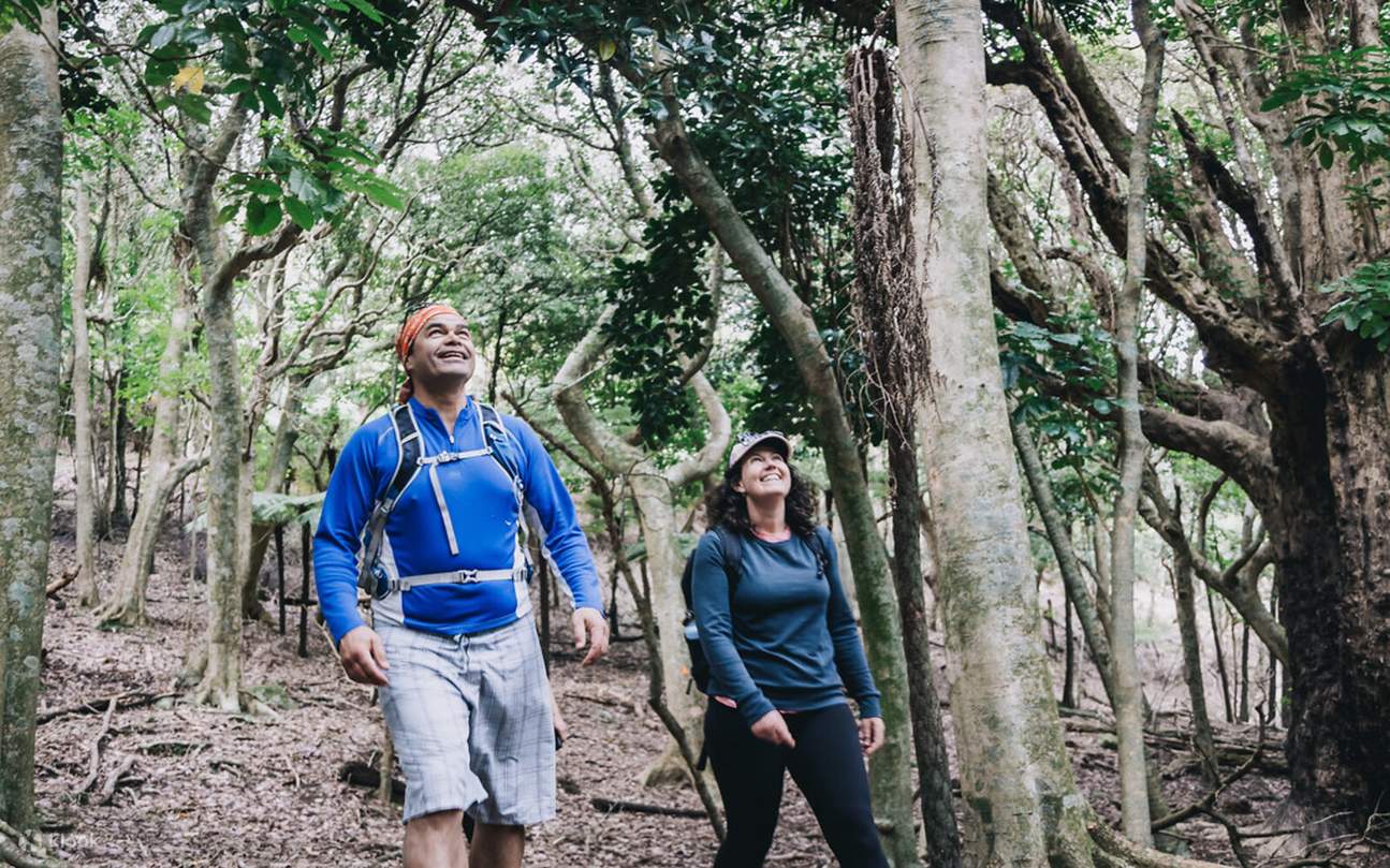 Исследование полуострова Коромандел