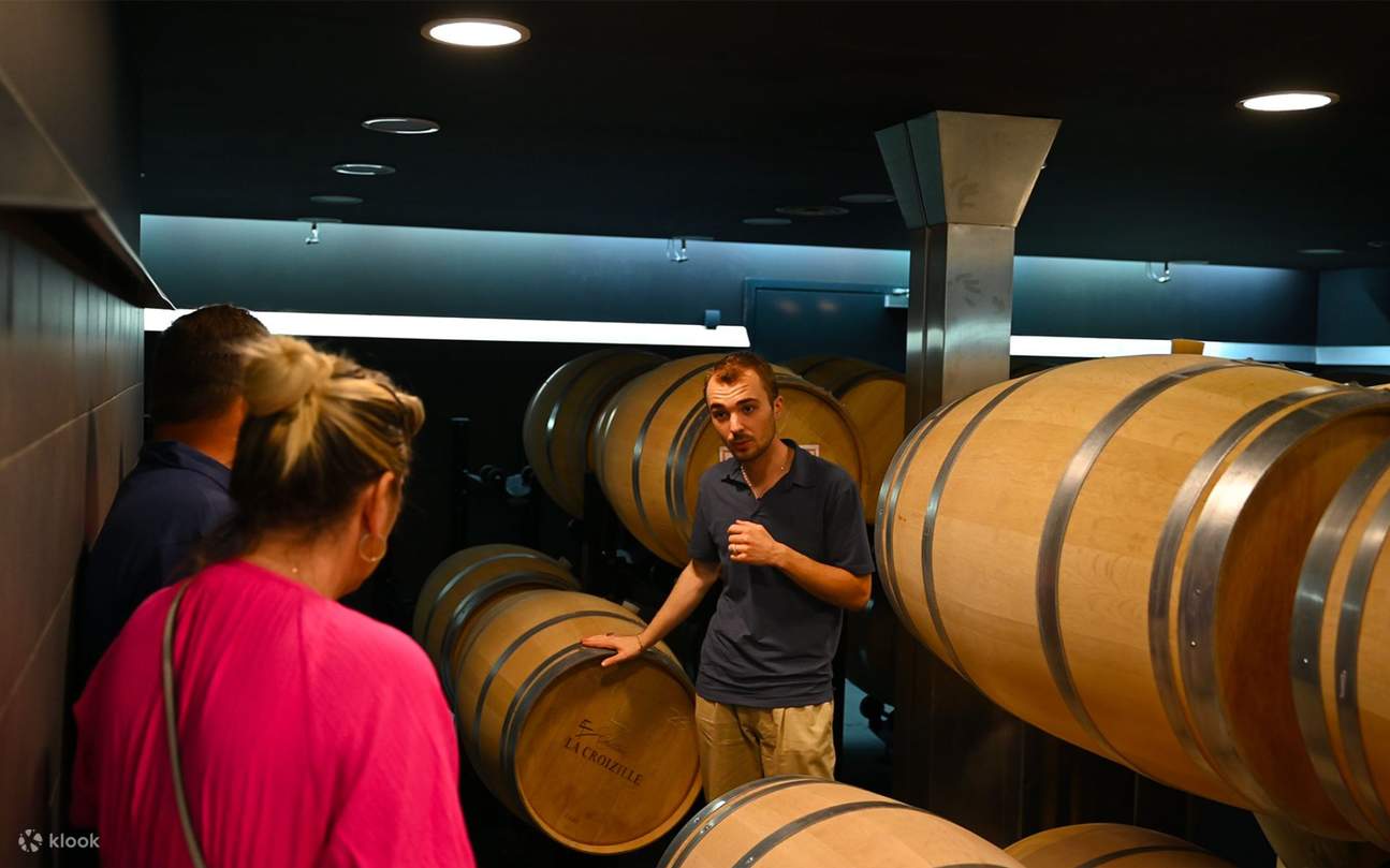 Saint-Emilion Grands Crus Classes Winery Visit & Tasting Experience - Klook