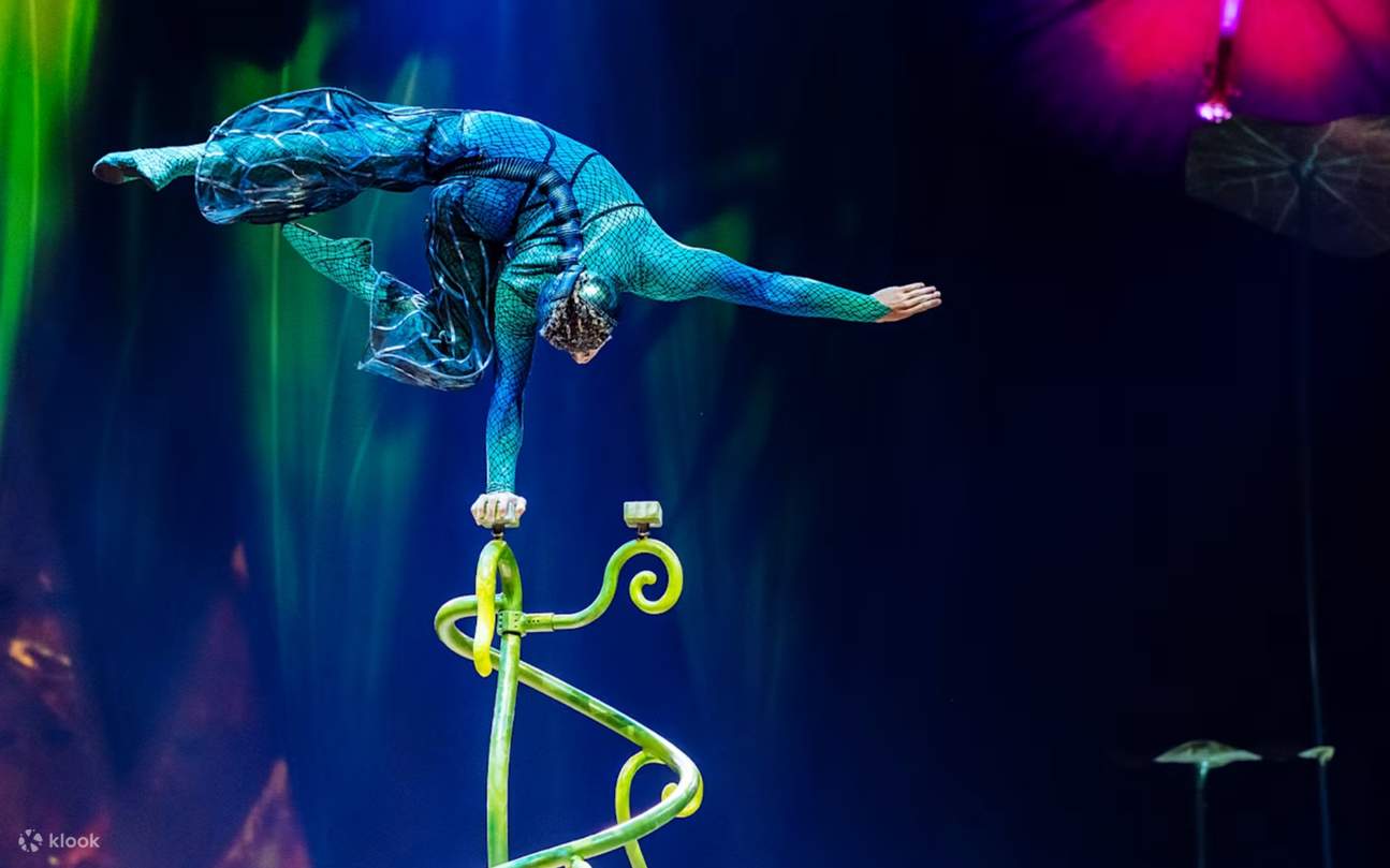 Experience the wonder of Cirque du Soleil’s OVO with breathtaking acts and vibrant costumes