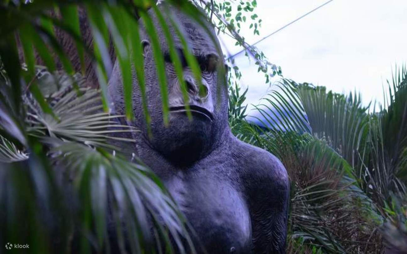 Tropical Land Tageskarte