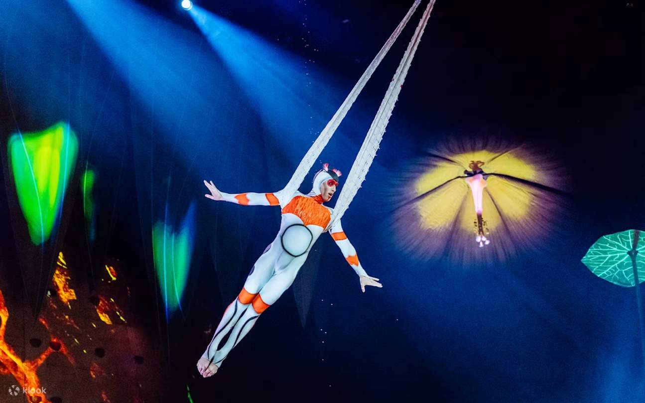 Be amazed by dazzling acrobatics and colorful performances celebrating the world of insects