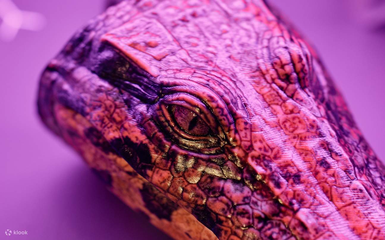 Croc! Lost Giants to Living Legends