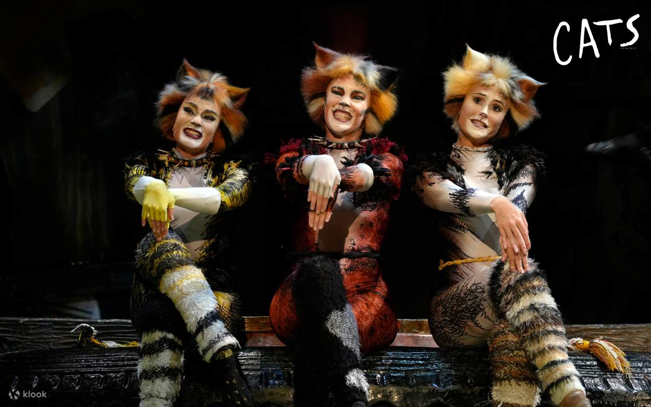 CATS мюзикл @ Sands Theatre - Klook