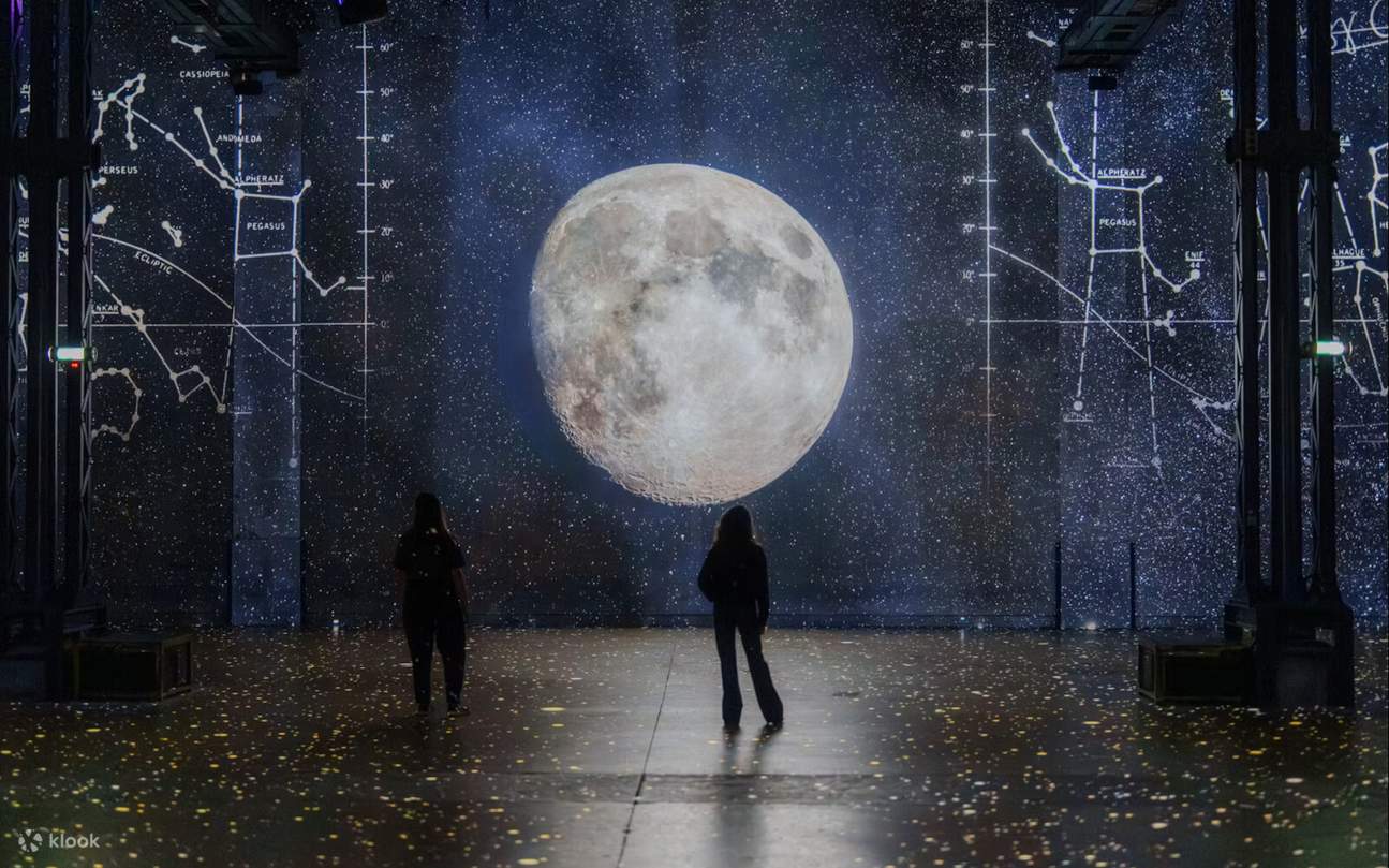 벽과 표면을 가득 채우는 색채와 음악으로 다채로운 감각을 자극하는 아트쇼를 경험해 보세요.