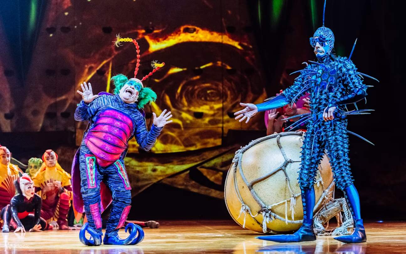 Step into a whimsical world filled with energy, color, and awe-inspiring circus performances
