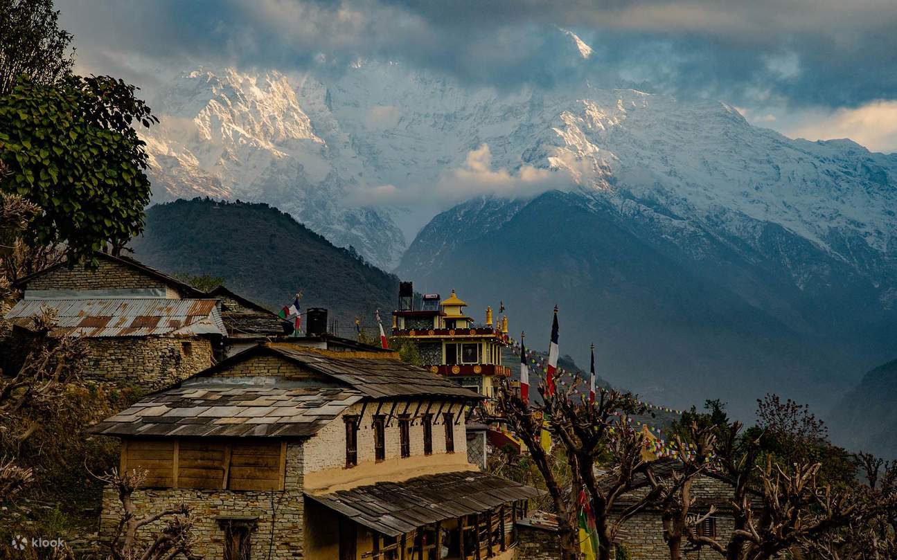 Explore The Majestic Annapurna Region 4 Day Poon Hill Trek From explore-the-majestic-annapurna-region-4-day-poon-hill-trek-from