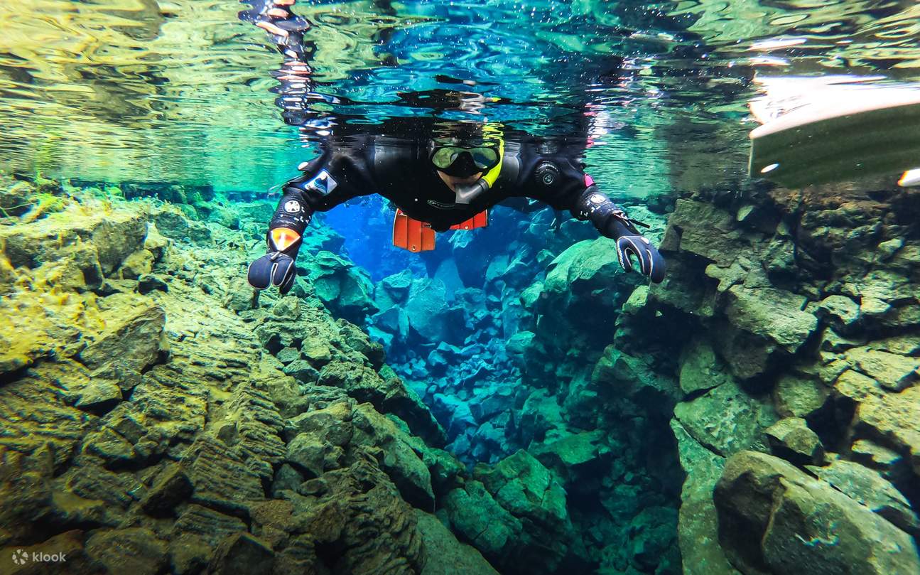 Die friedliche blaue Unterwasserlandschaft genießen und von den Farben fasziniert sein