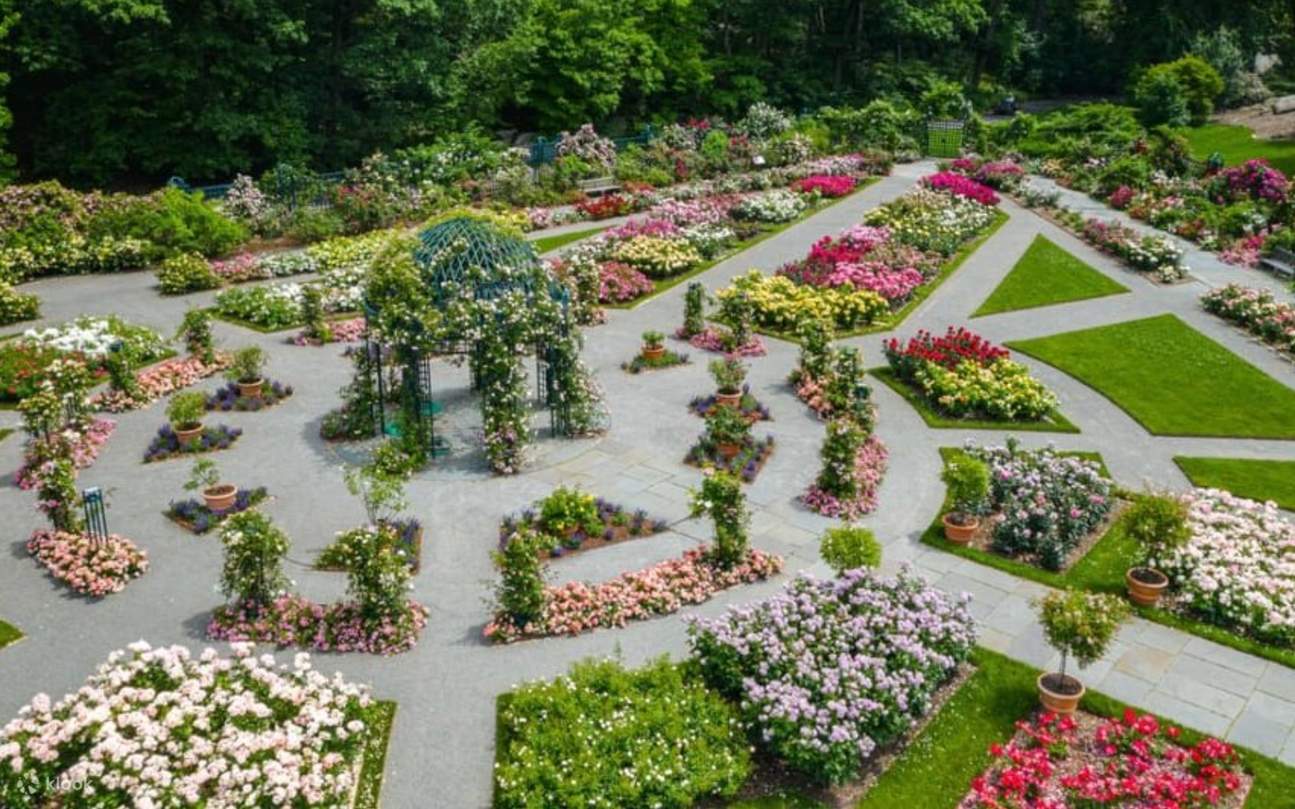 2,700여 그루의 아름다운 장미 덤불이 있는 록펠러 장미 정원을 거닐어보세요.