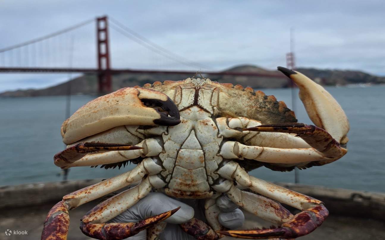 San Francisco: Crab Catch & Cook Experience under Golden Gate Bridge -  Klook United States