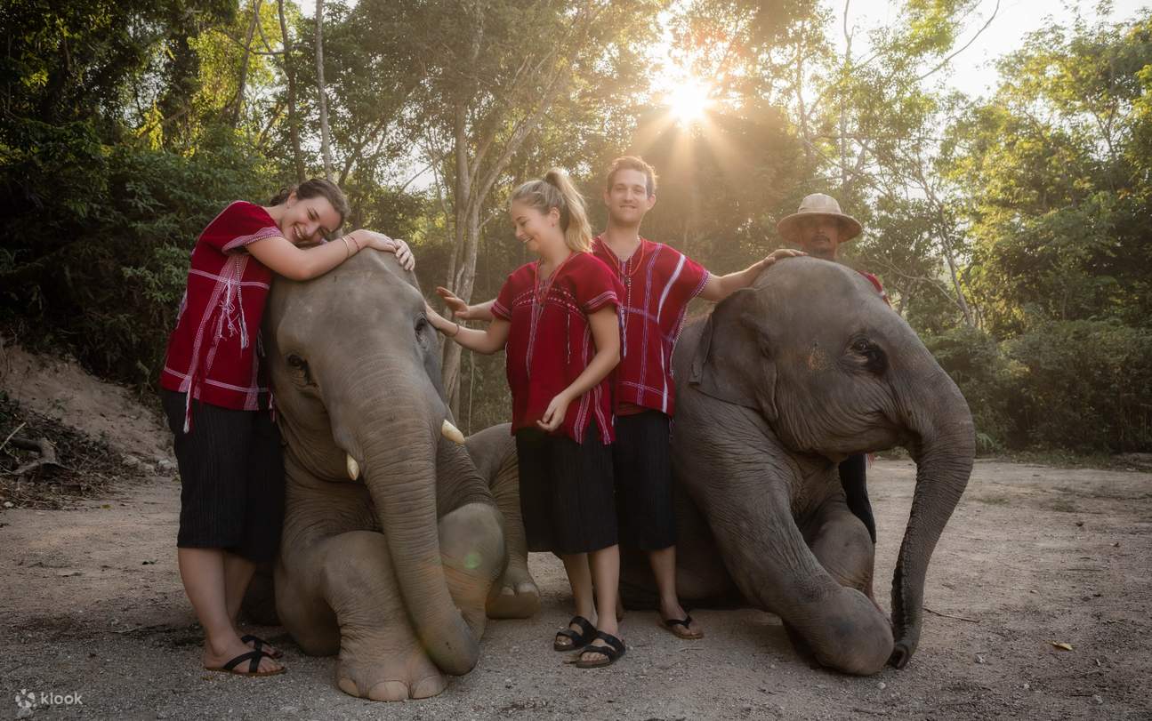 Kerchor Elephant Family Phuket Sanctuary Half Day, Phuket, Thailand ...
