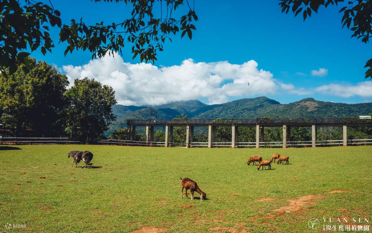 Taitung Wild Native Botanical Garden