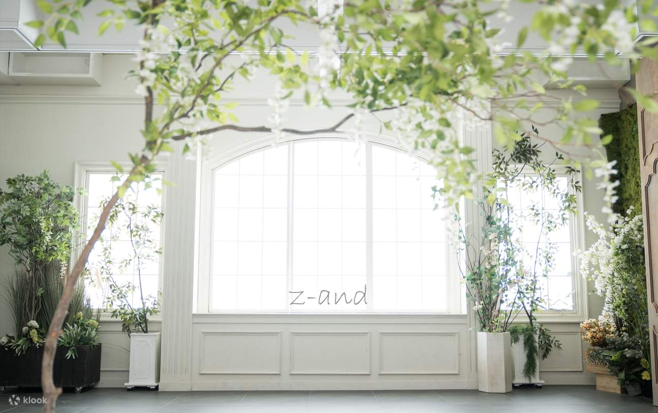 Z-and è rinomata a livello internazionale, con un'eccellente soddisfazione del cliente e visitatori abituali.