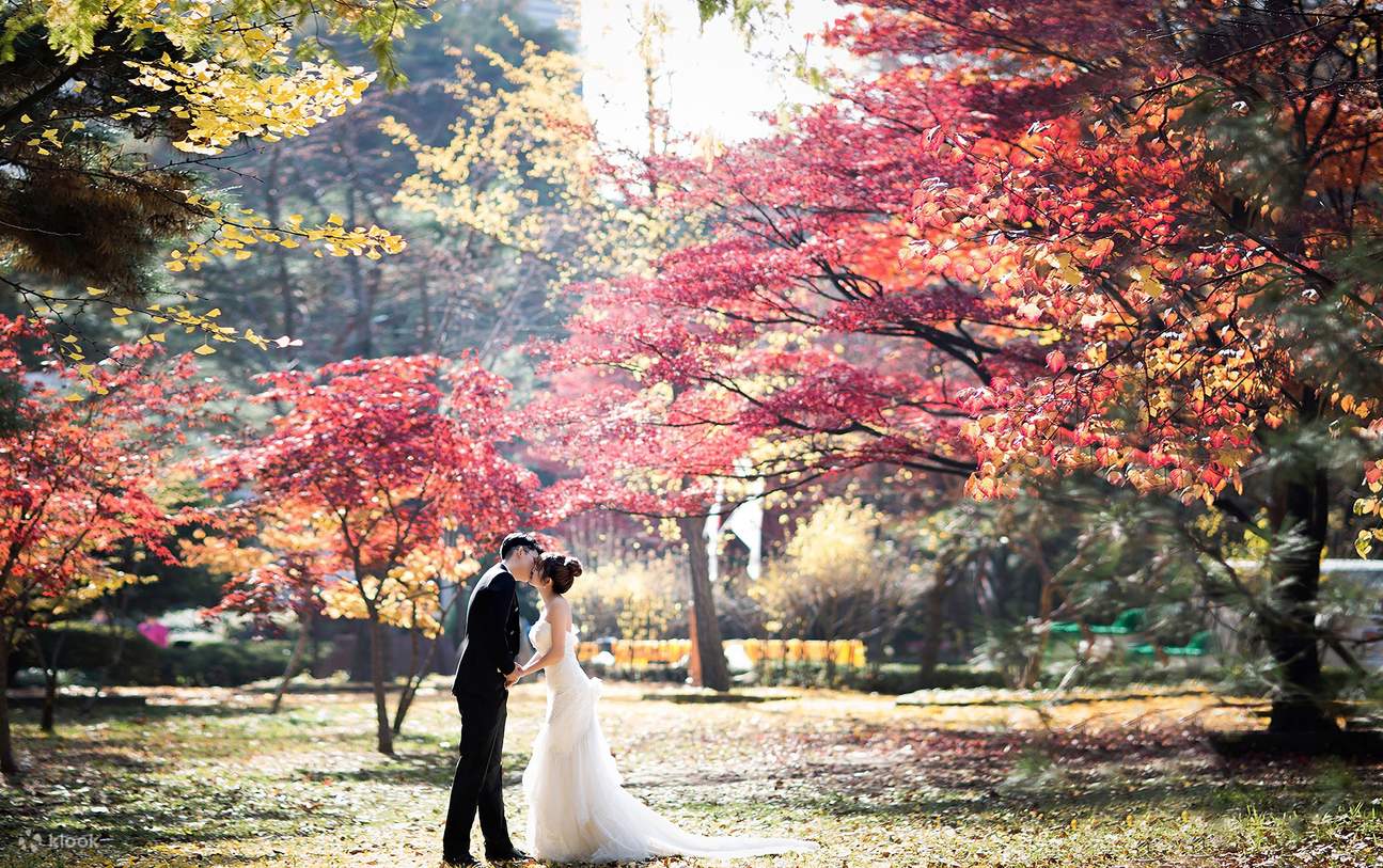 เก็บภาพสวย ๆ ท่ามกลางทัศนียภาพอันน่าหลงใหลของเกาหลี