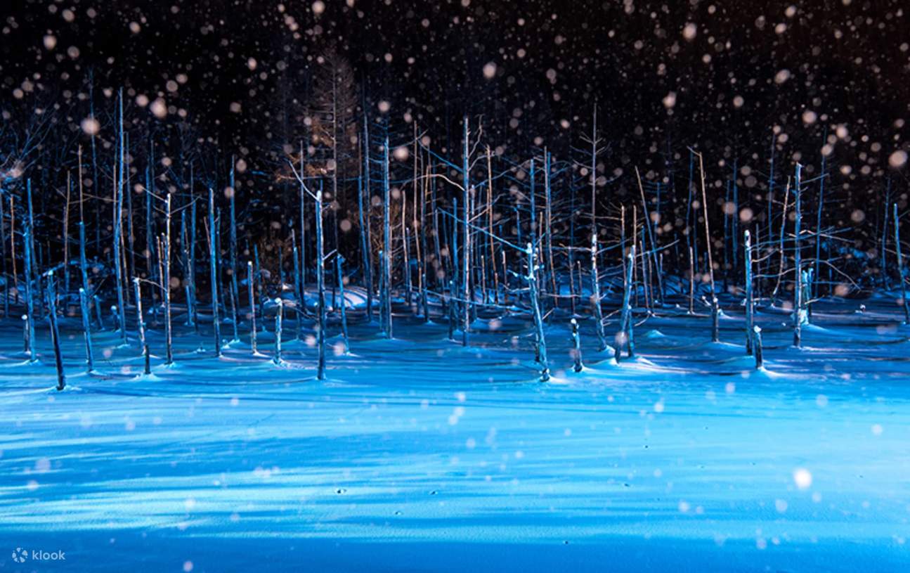 B方案-「美瑛青池點燈」以藍色光影照亮雪原與池面，如夢似幻的景象，令人一見難忘 12月限定青池點燈