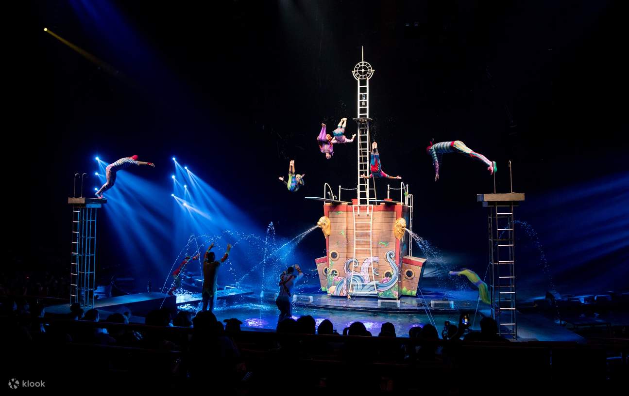 spectacle rebondissant