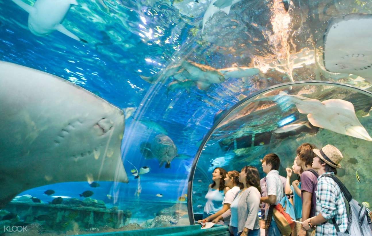 UnderWater World Ocean Safari Admission Ticket in Guam ...