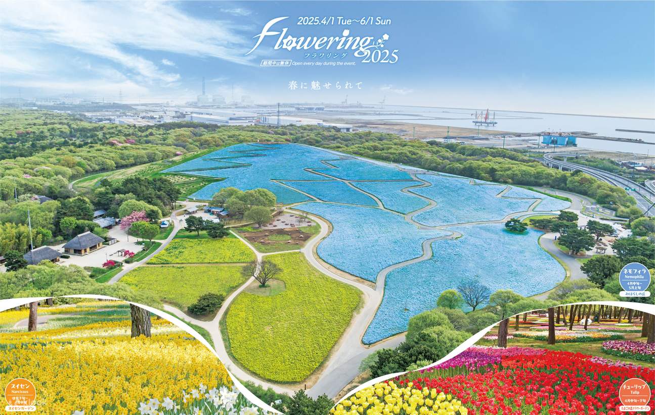 茨城国営ひたち海浜公園＆大洗神磯鳥居 日帰りツアー | Klook