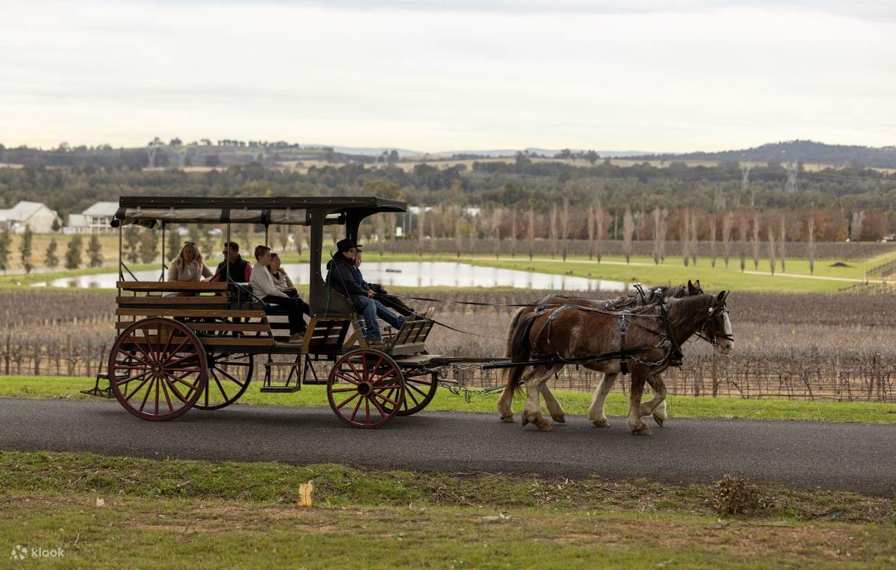 ハンターバレー おすすめアクティビティ