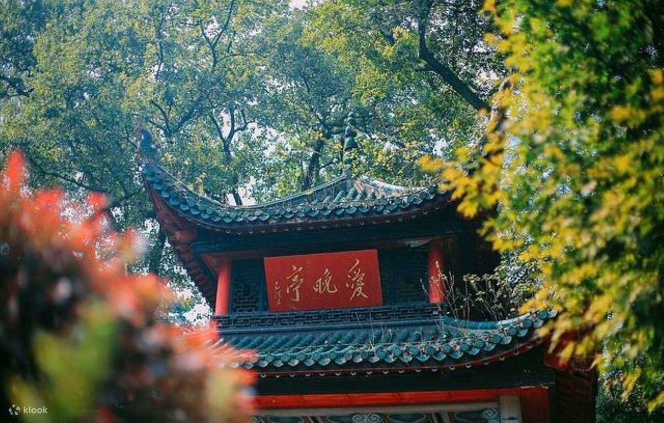 Hunan Chelsea Hunan Changsha Small Group One-Day Tour (Special Rice Noodle Street ...