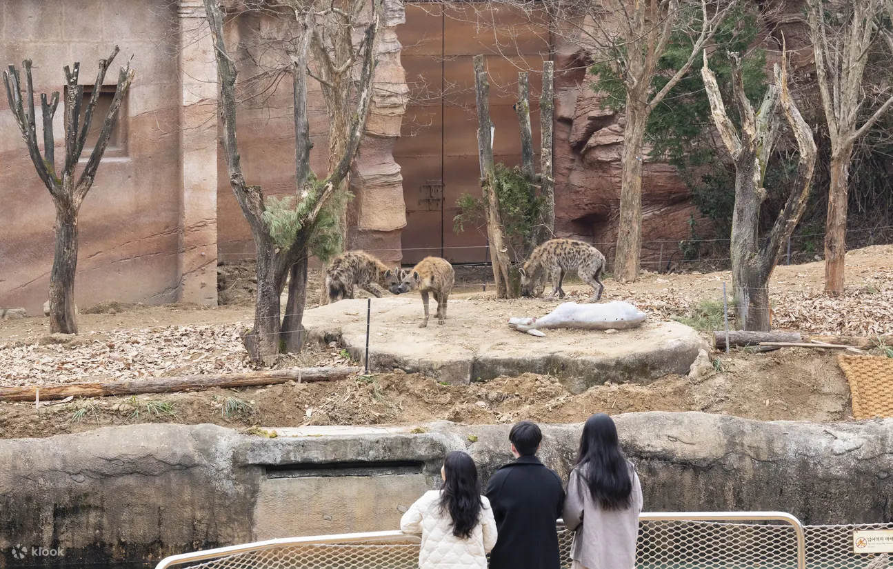 愛寶樂園門票