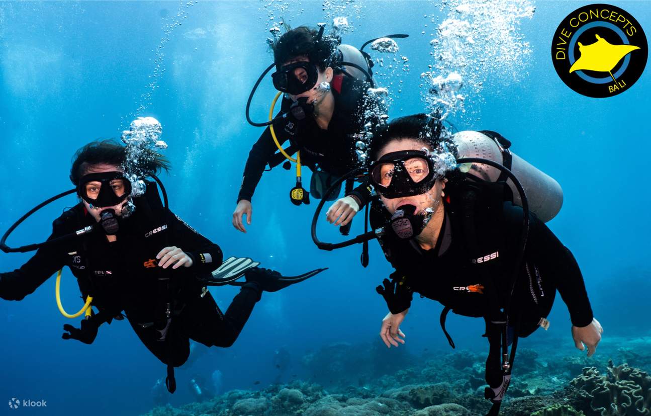plongeurs dans la mer de Tulamben