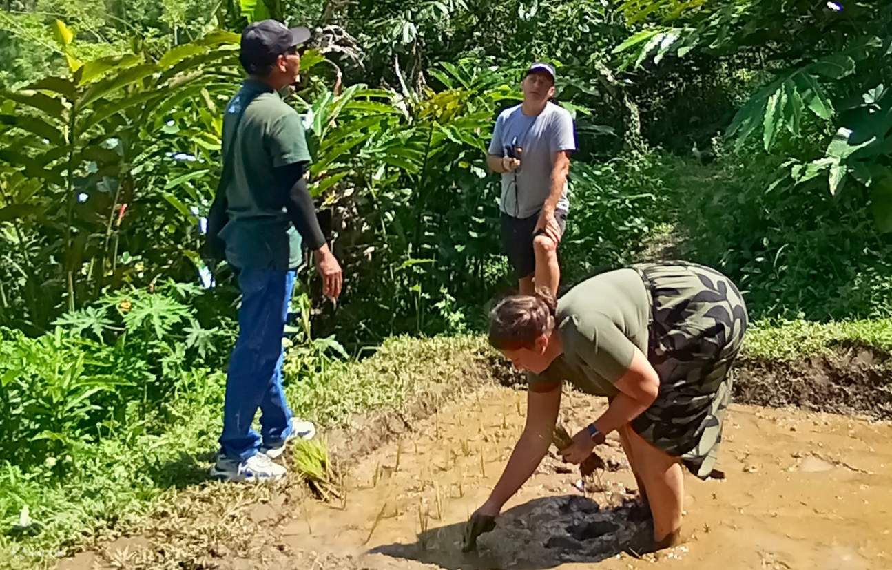 Pengalaman Kampung Gunung Tersembunyi