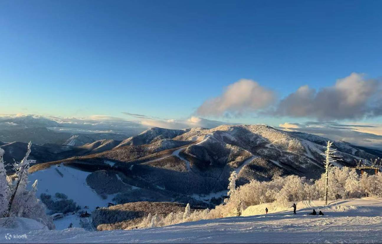 Kursus Ski Pribadi di Resor Ski Shiga Kogen