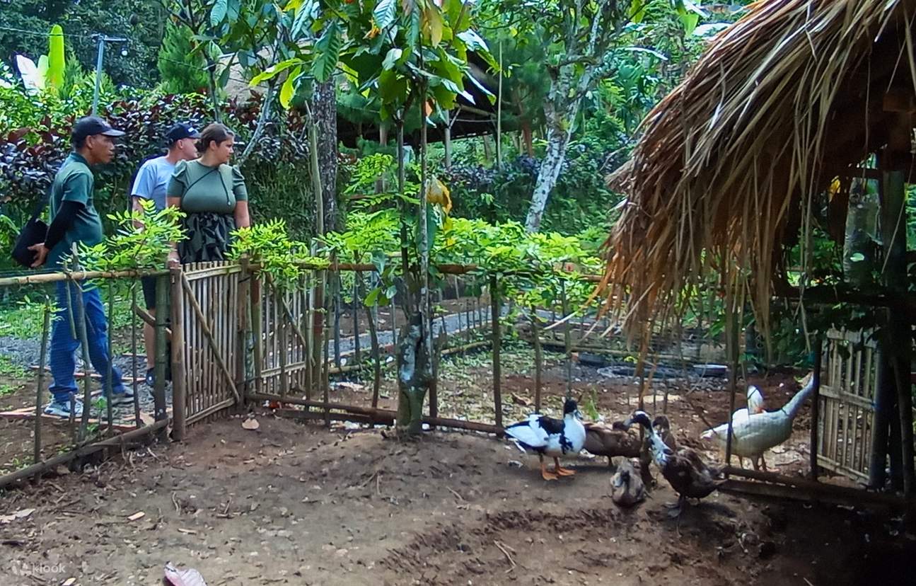 Pengalaman Kampung Gunung Tersembunyi
