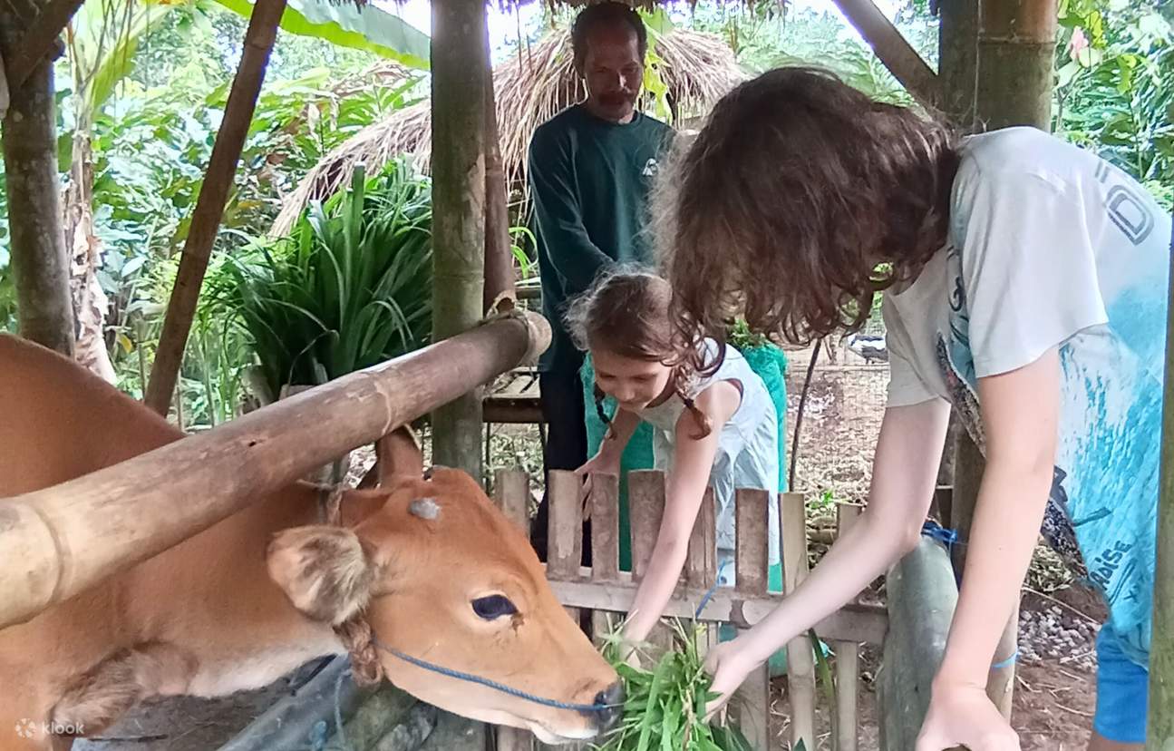 ประสบการณ์หมู่บ้านภูเขาที่ซ่อนอยู่