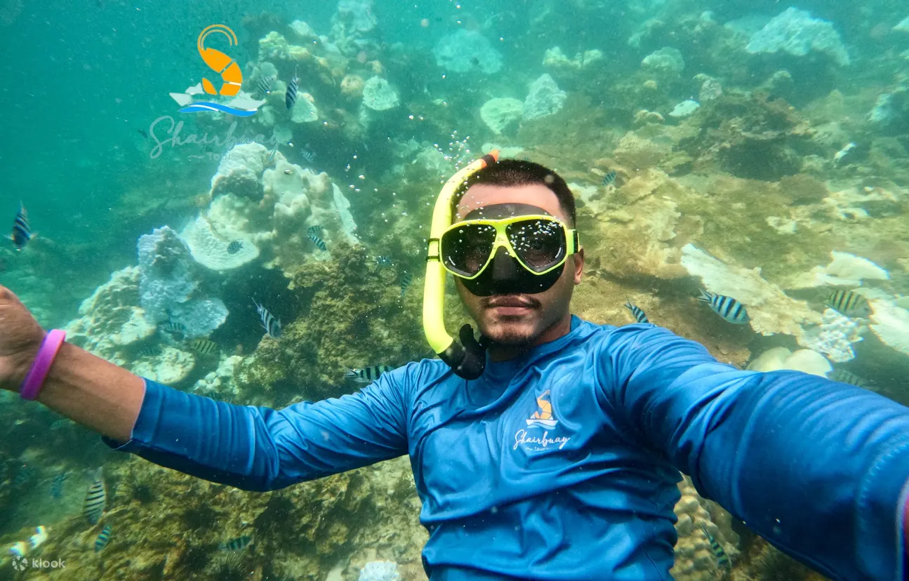 沙美岛：5 或 6 岛浮潜之旅（含午餐）