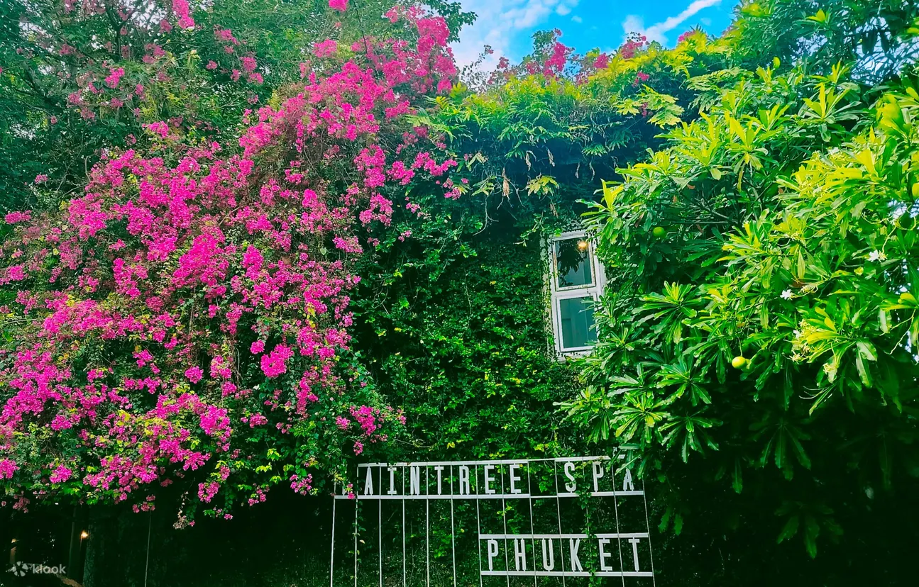 普吉岛 Raintree Spa 体验
