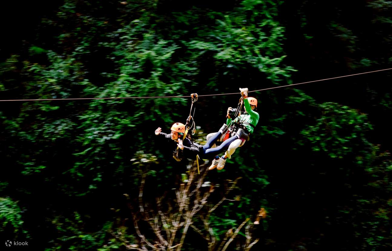Chiang Mai: Petualangan Zipline Flying Tiger - Klook