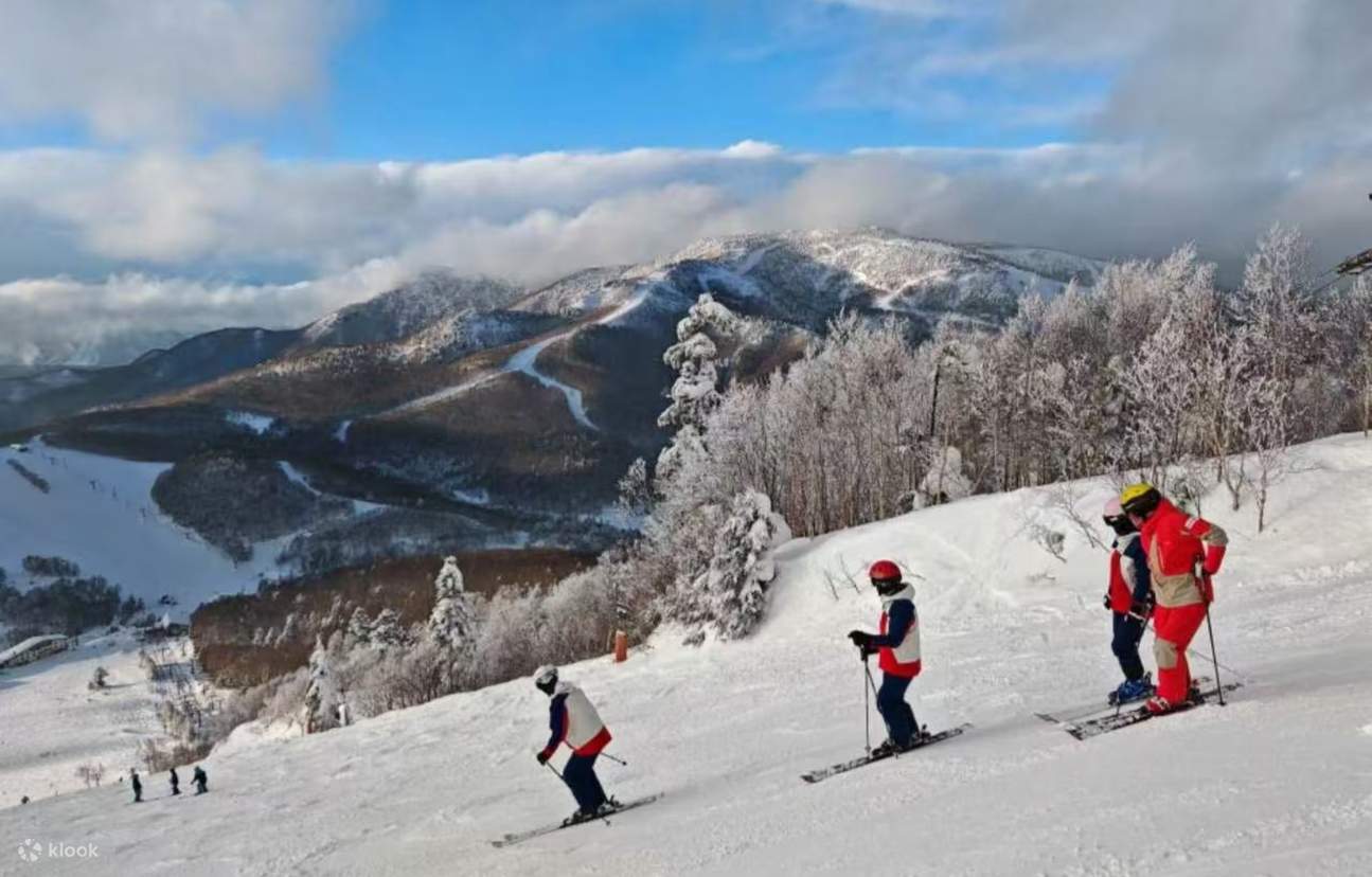 Kursus Ski Pribadi di Resor Ski Shiga Kogen