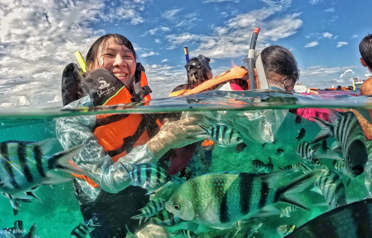 沙美岛：5 或 6 岛浮潜之旅（含午餐）