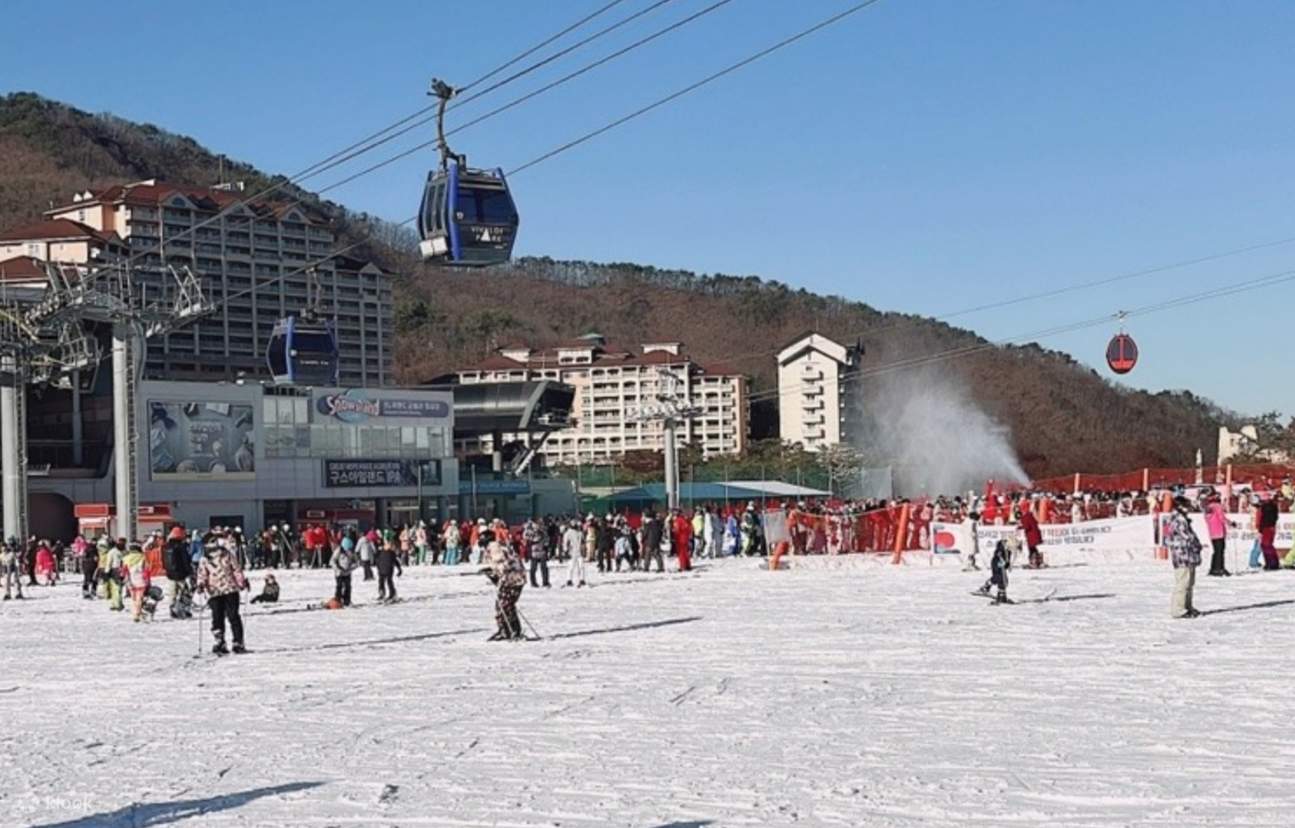 Vivaldi Park / Ski + Snowboard + SnowyLand Day Tour Klook Hong Kong