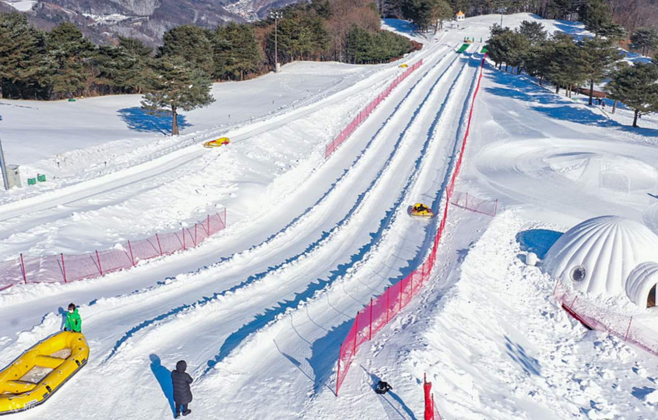 Vivaldi Park / Ski + Snowboard + SnowyLand Day Tour Klook Hong Kong