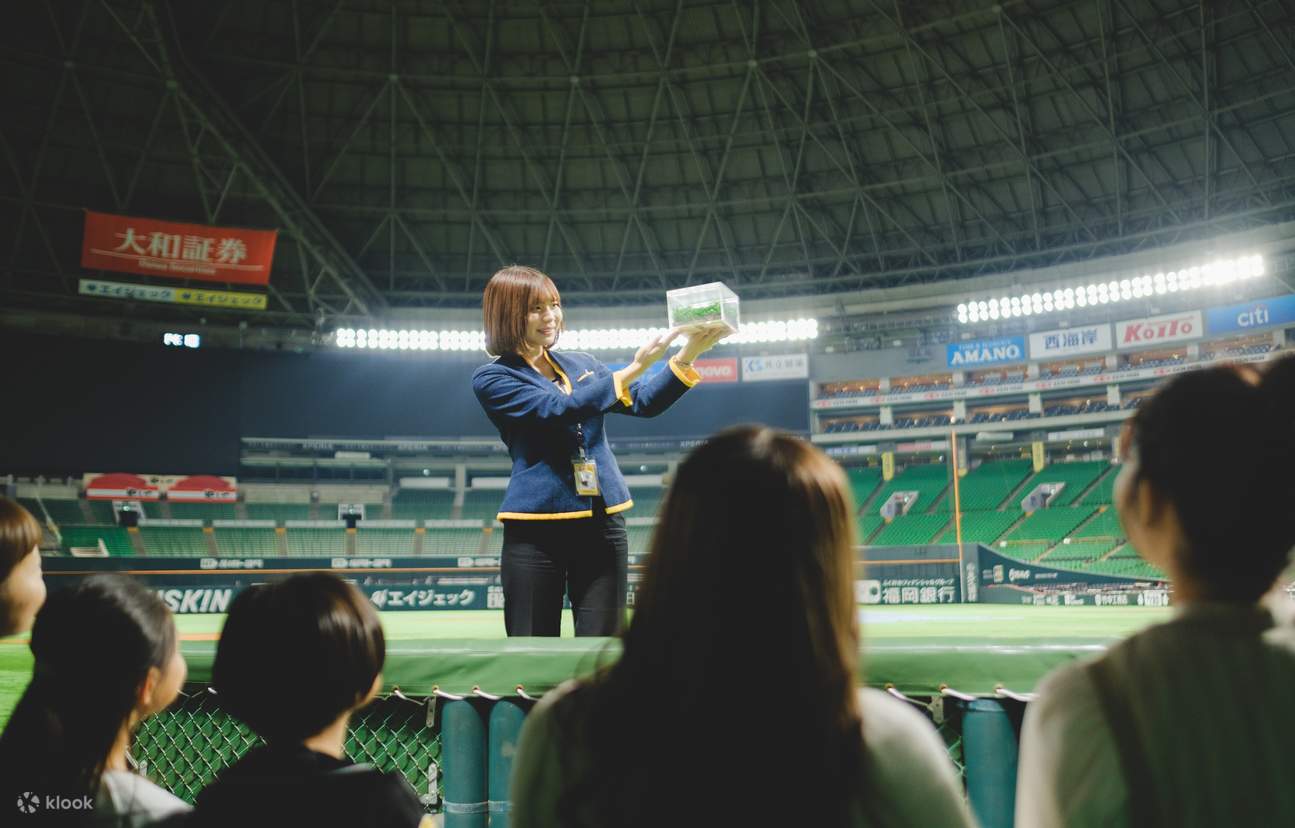 Experiencia SoftBank Hawks MIZUHO PayPay DOME FUKUOKA