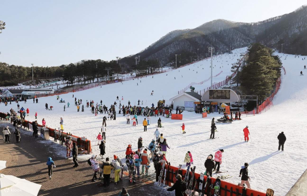 Jisan Forest Resort Ski x Snowboard Day Tour - Klook