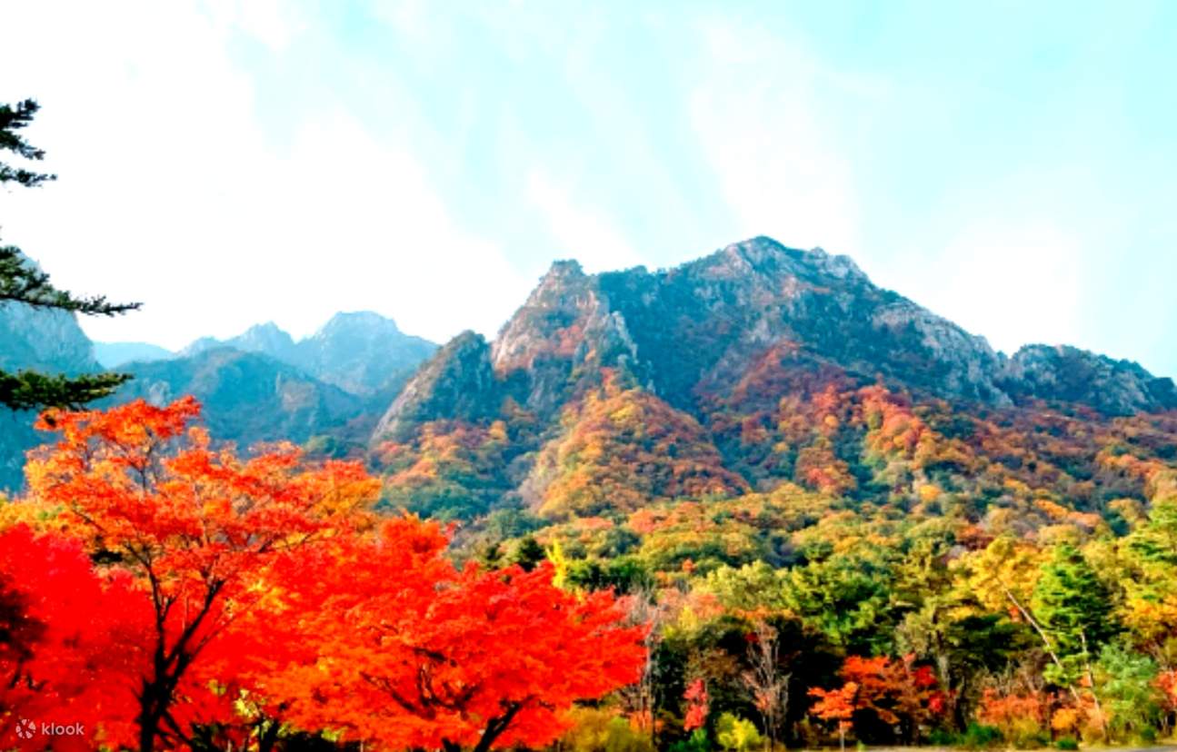Autumn Foliage Day Trip to Naejangsan National Park from Seoul, South ... Autumn Foliage Day Trip to Naejangsan National Park from Seoul, South ...