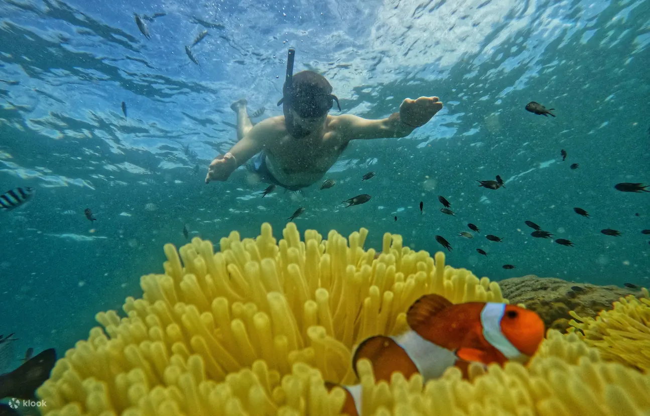沙美岛：5 或 6 岛浮潜之旅（含午餐）