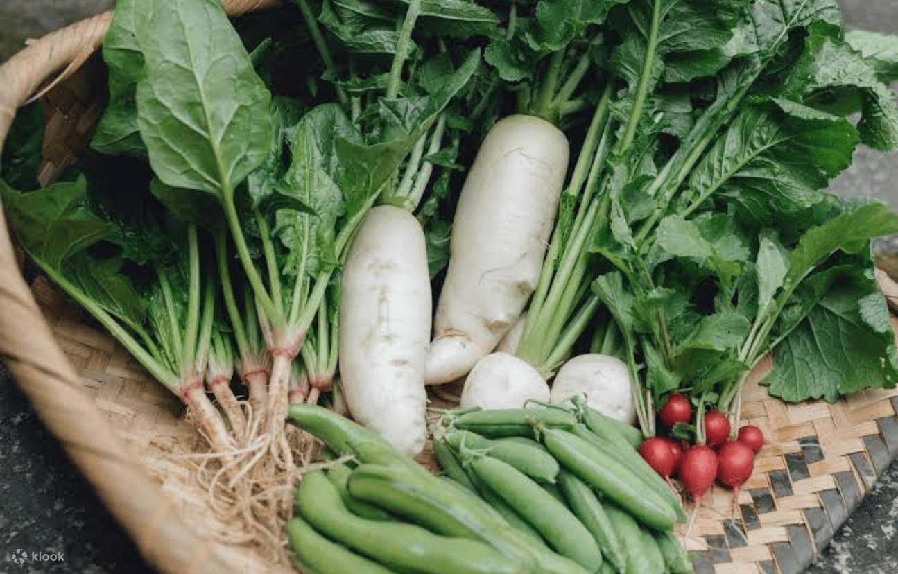 Kyoto: Yamashina Farm Tour dengan Sarapan