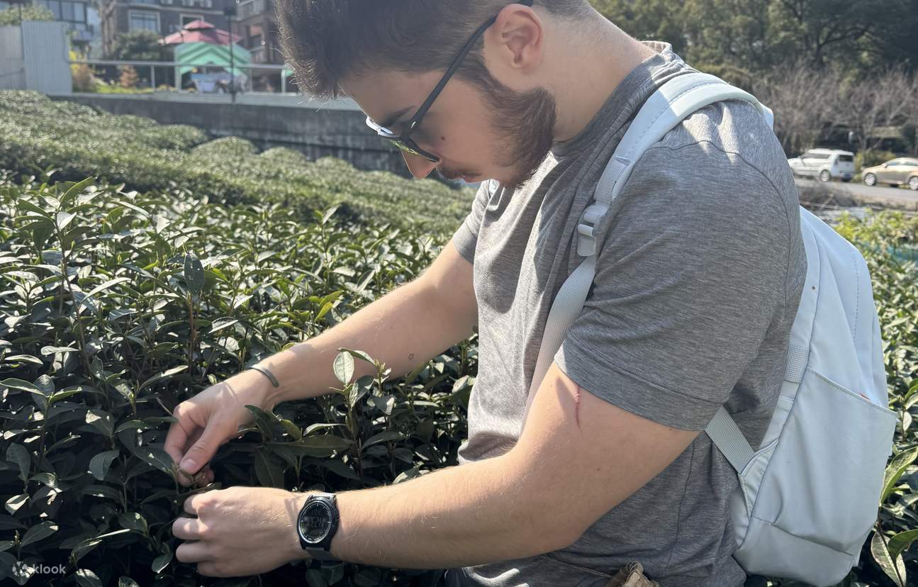 Jalan kaki santai memetik teh di perkebunan teh, jelajahi misteri waduk kaya oksigen