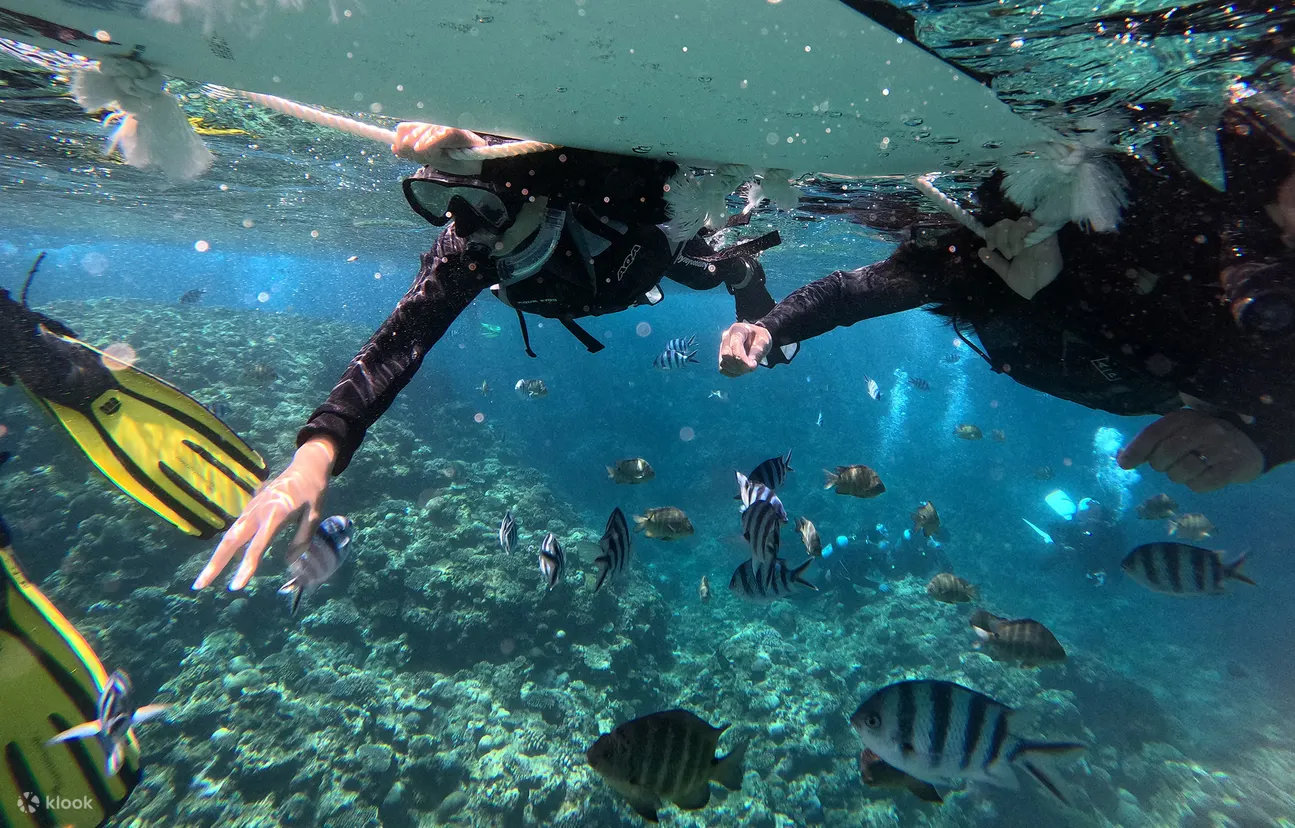 Snorkeling with family in Okinawa together