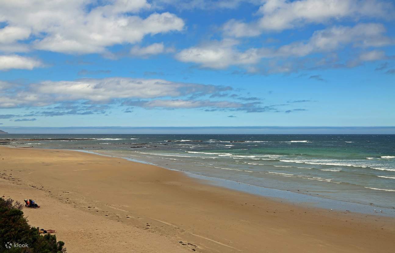 Explore Phillip Island with our Self Guided Driving Tour Klook