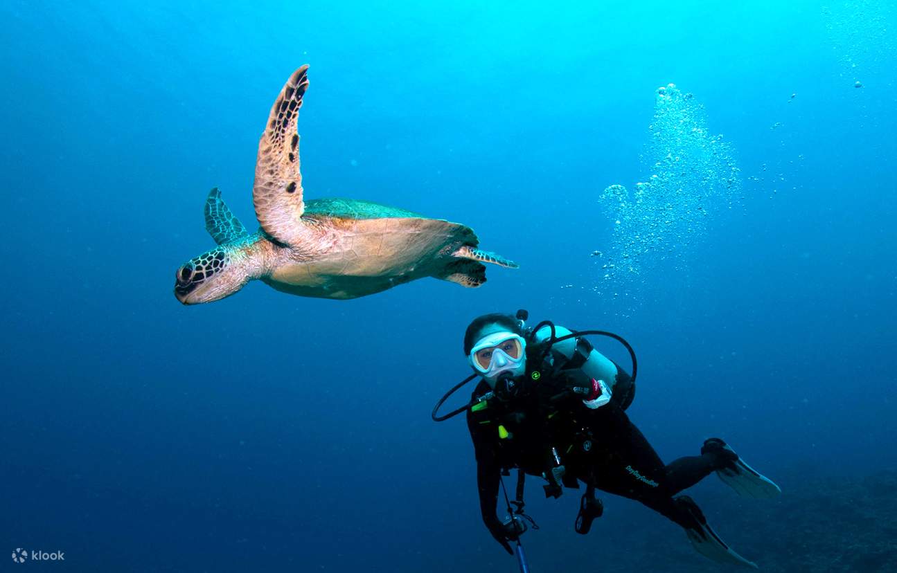 오키나와｜온나 블루 케이브 스노클링 & 다이빙 체험｜광둥어 강사