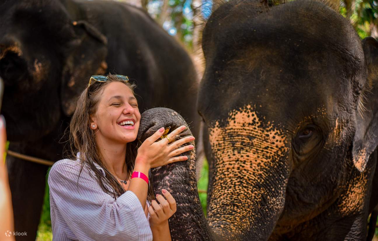 普吉島：莉莉大象營地海灘與大象