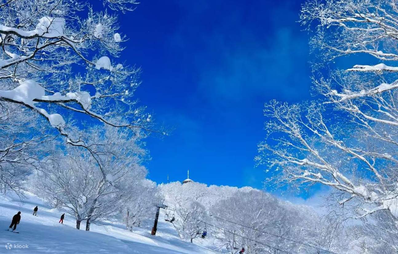 Privater Skikurs im Nozawa Onsen Skiresort