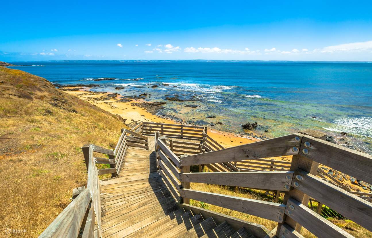 Explore Phillip Island with our Self Guided Driving Tour Klook