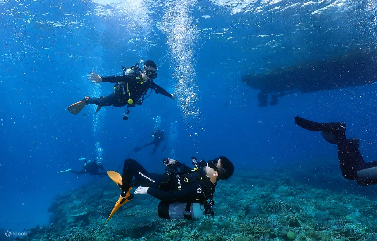 全日 | 慶良間島持証潛水 | 3潛 [嘉手納出發]