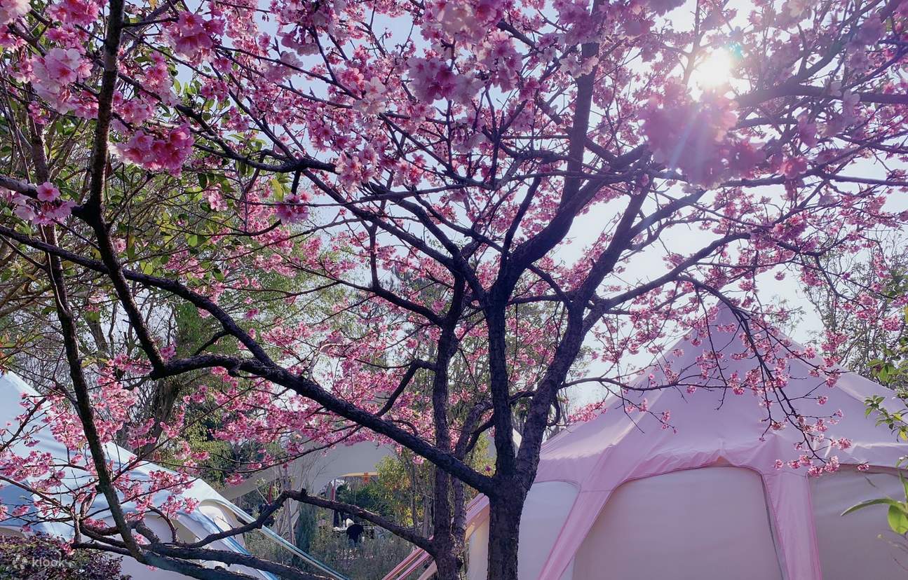 Zhaizuoran Wild Luxury Manor